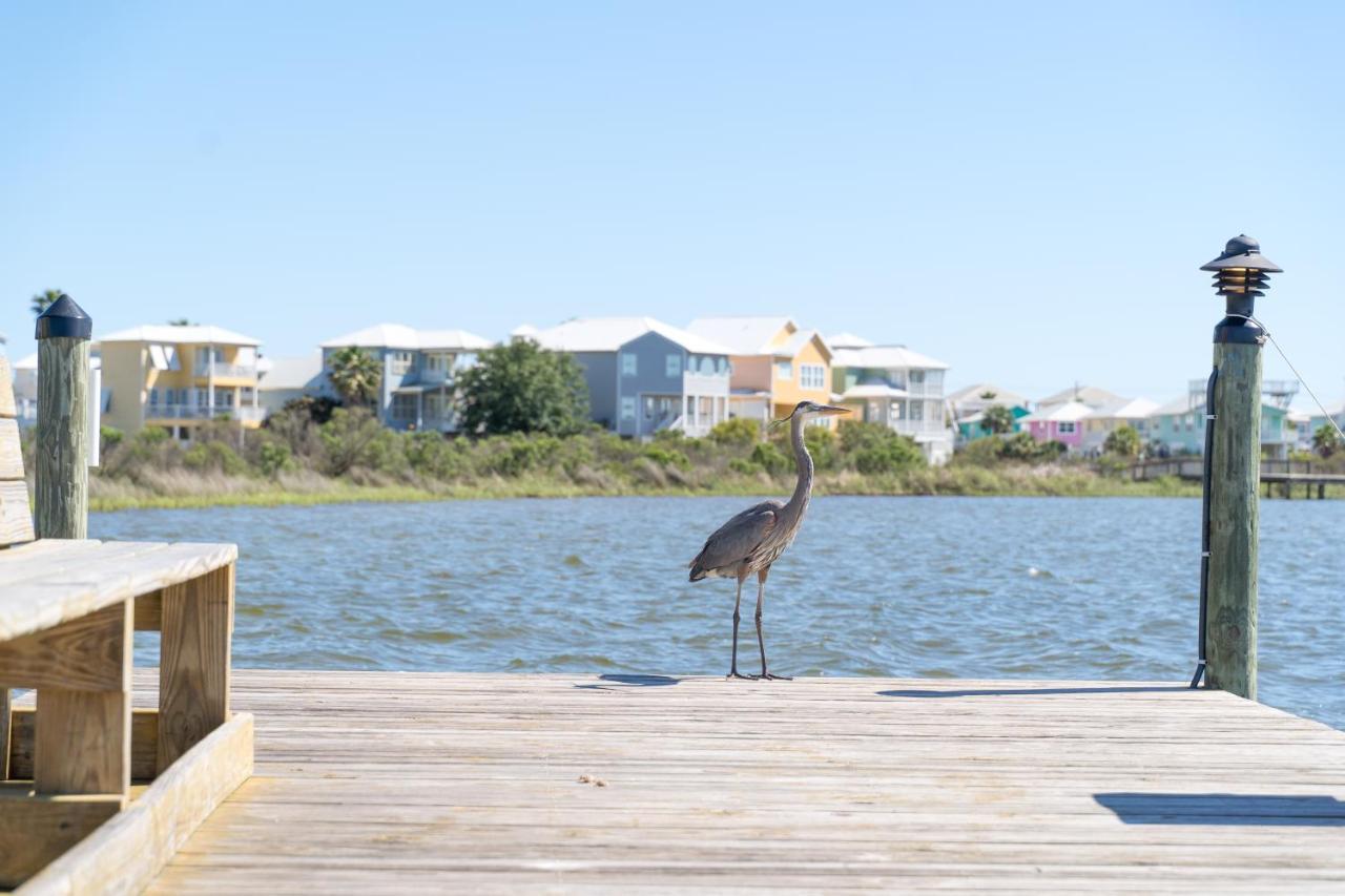 Compass Point 310 Apartment Gulf Shores Bagian luar foto